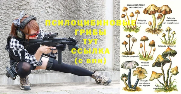 хмурый Верхний Тагил